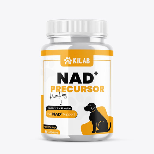 NAD+ Precursor Supplement for Dogs -Designed to support Healthy Aging & Skeletal Muscle Support & Recovery