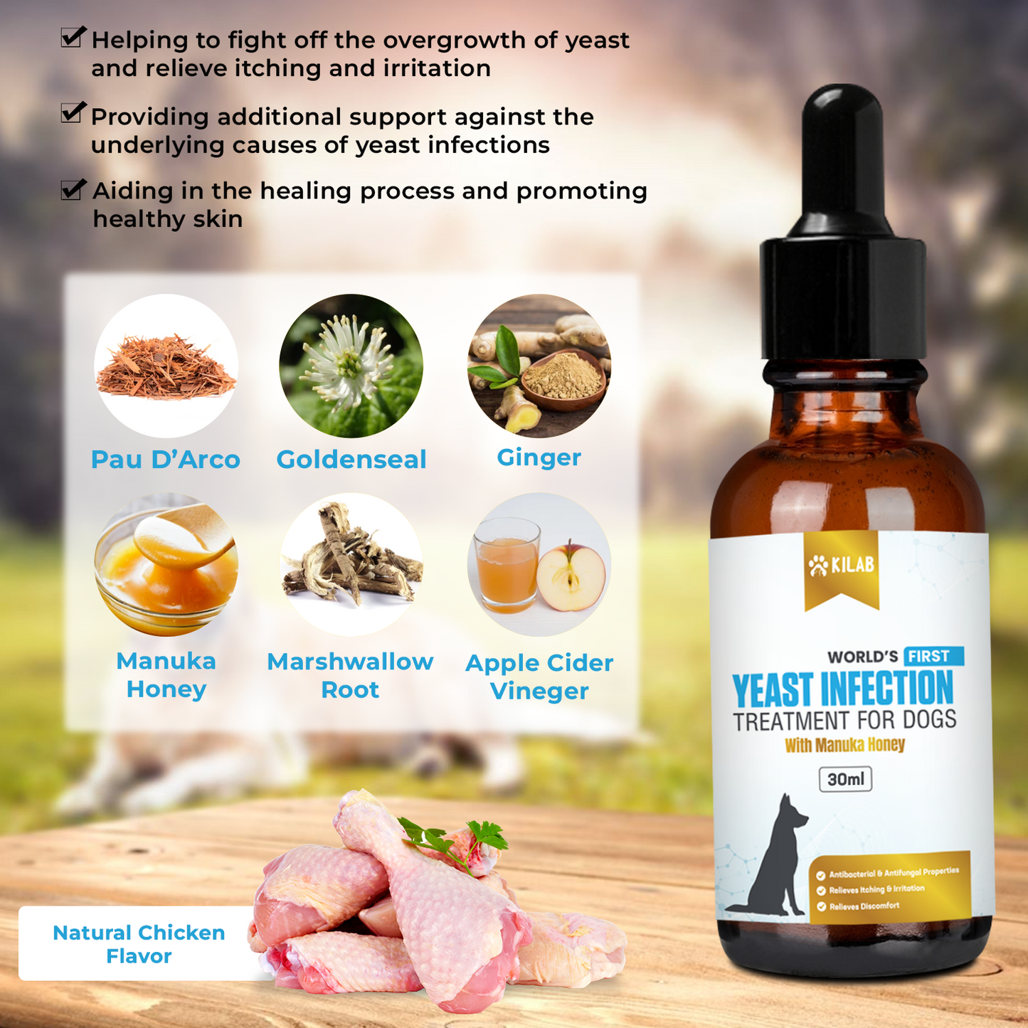 Kilab Natural Yeast Infection Treatment for Dogs.